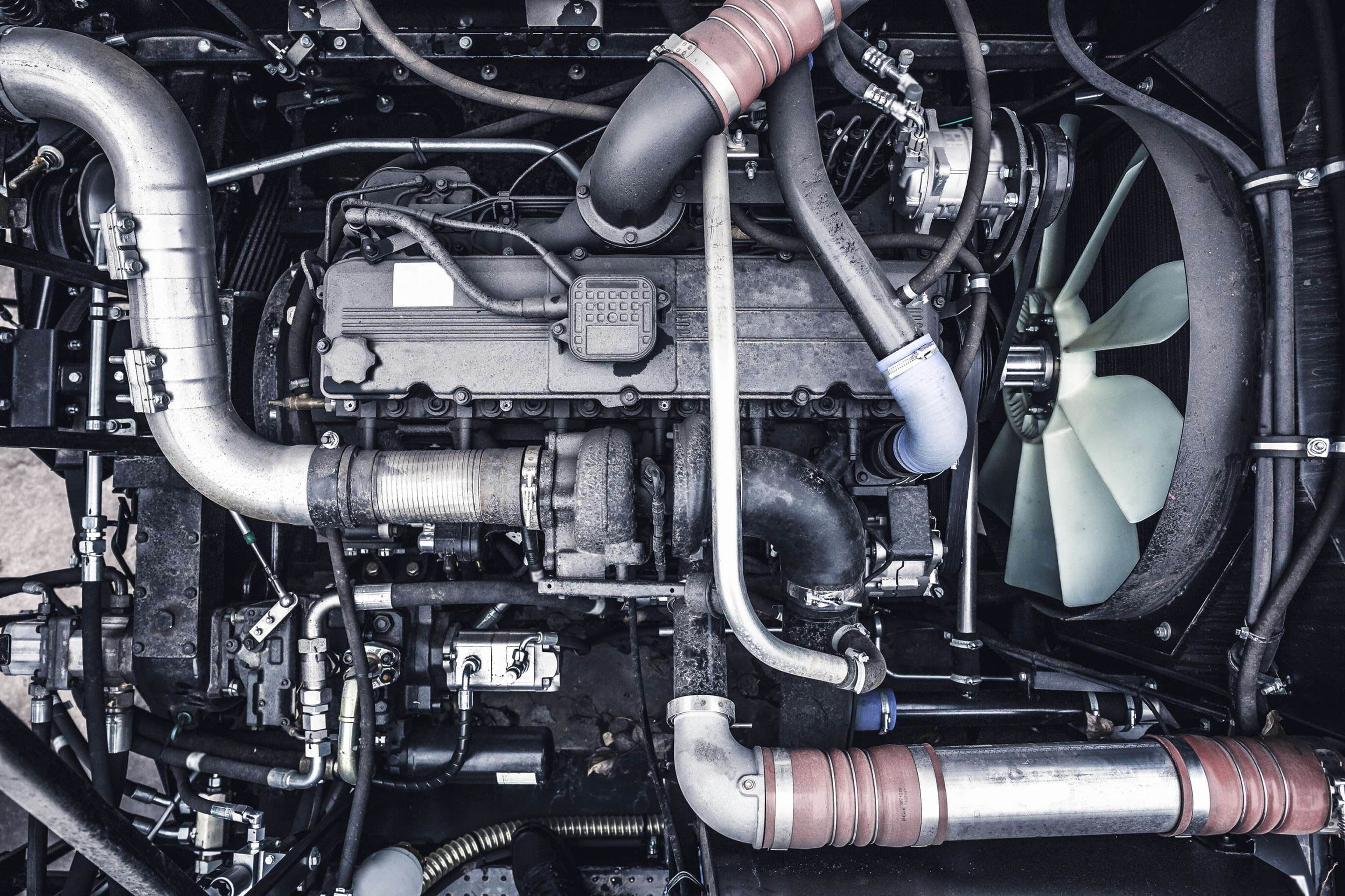 Motor