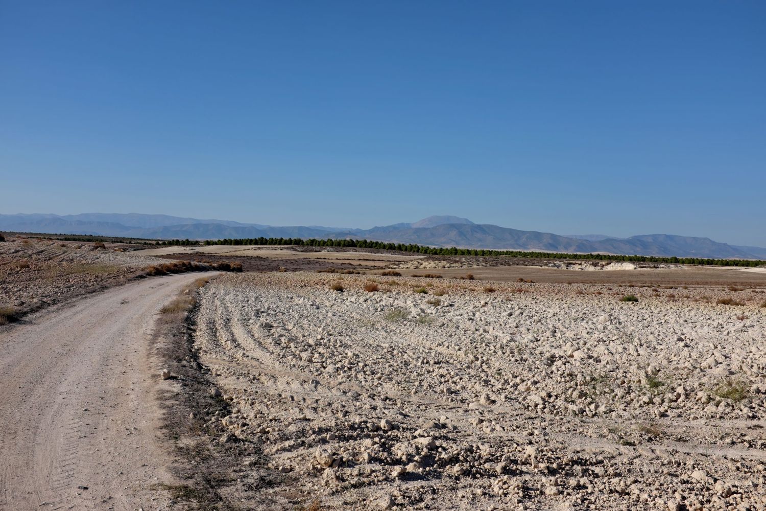 Dürre in Spanien