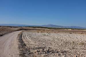 Dürre in Spanien