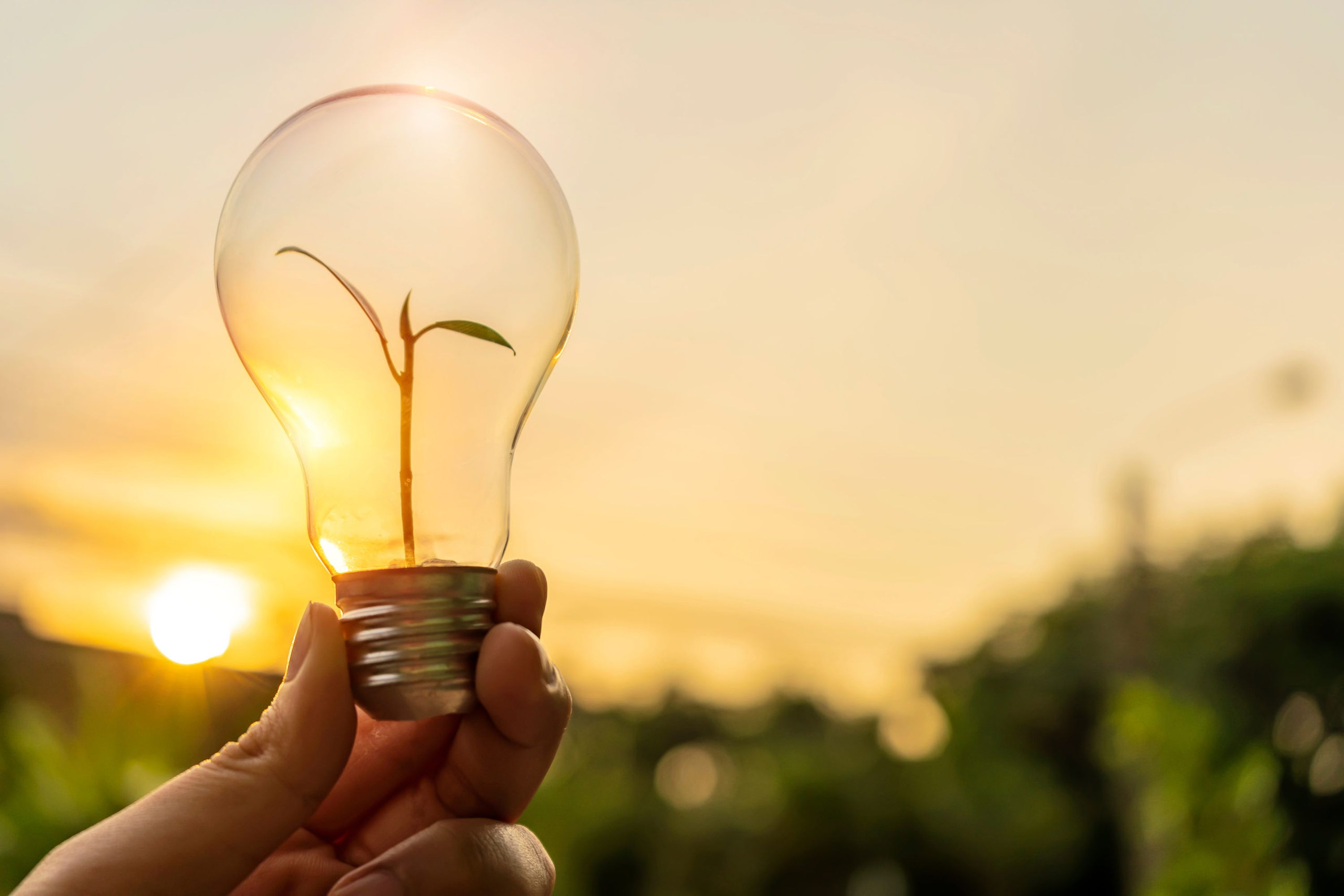 Ecology energy concept. The hand holding the lamp has bright light. And inside the tube there is a growing tree.