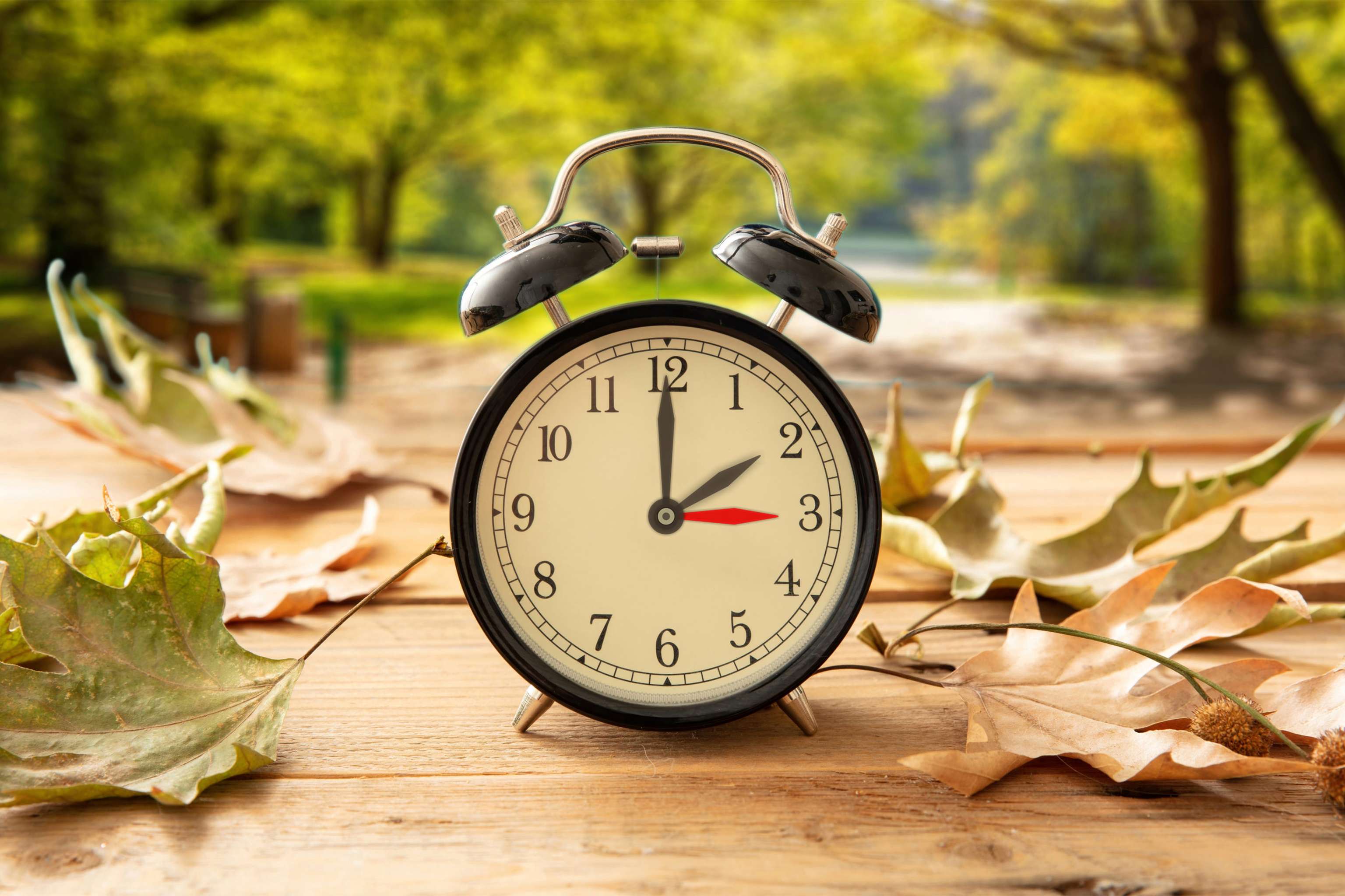 Daylight Saving Time, Fall Back One Hour. Black Clock On Wood, A