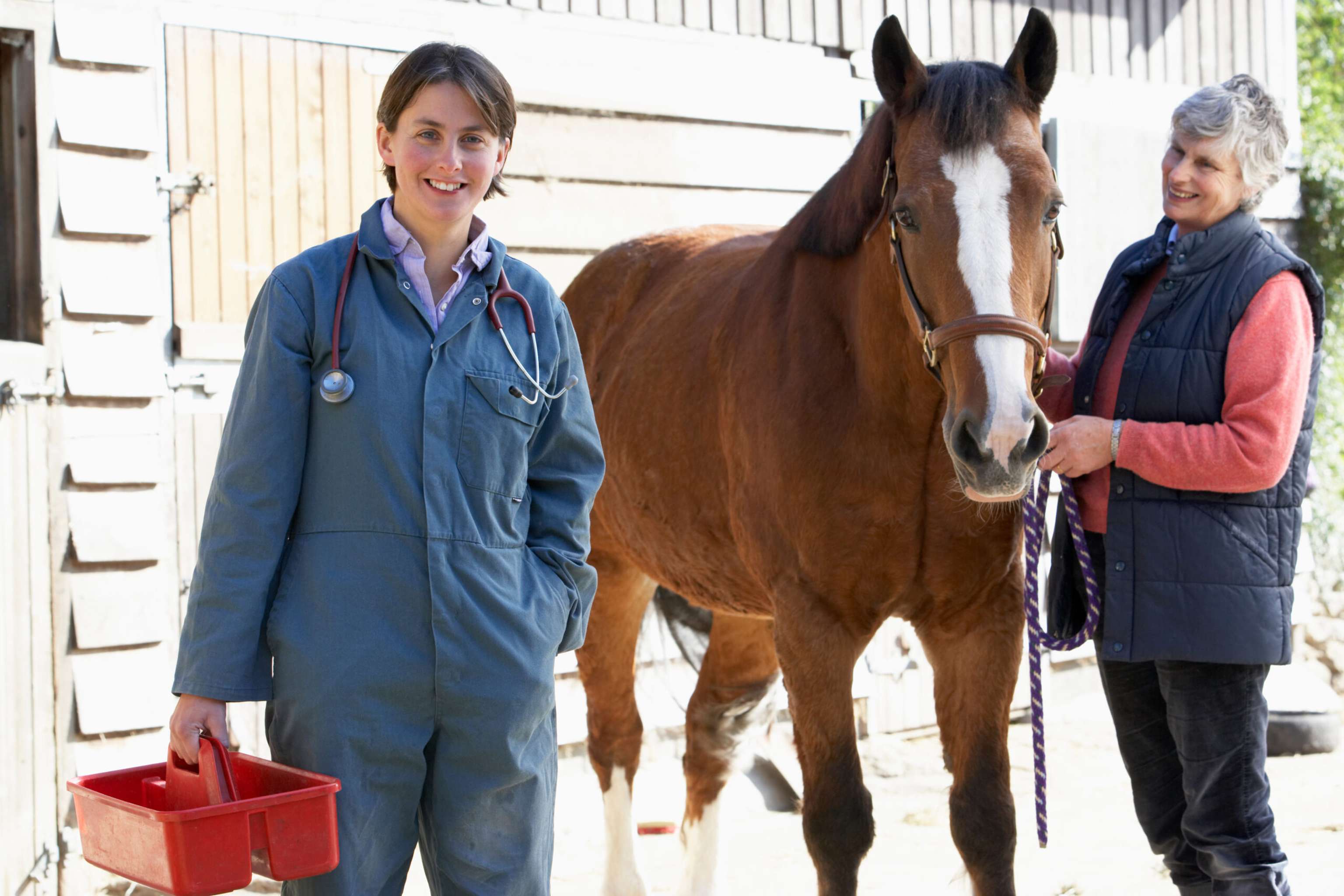 Vet In Discussion With Horse Owner