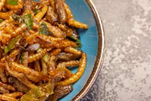 Heimchen, Mehlwürmer Und Lauchzwiebeln (Acheta Domestica) In Einer Kleinen Schüssel