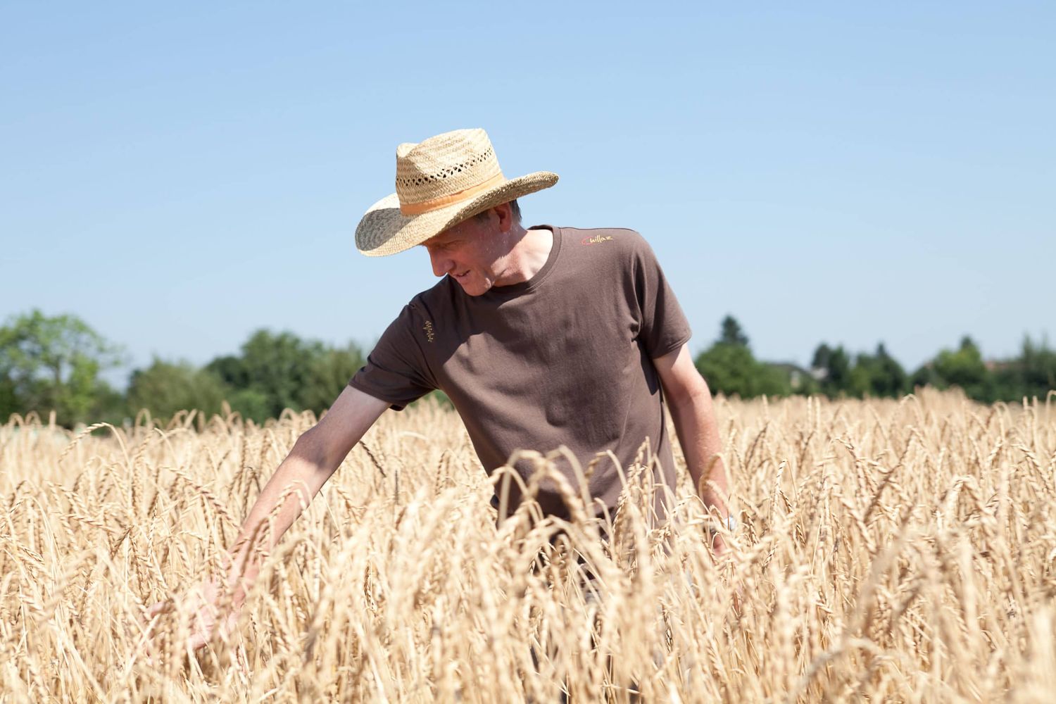 Leistungen der Bio-Landwirtschaft müssen auch abgegolten werden. FOTO: Bio Austria