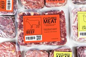 Laborfleisch Rind