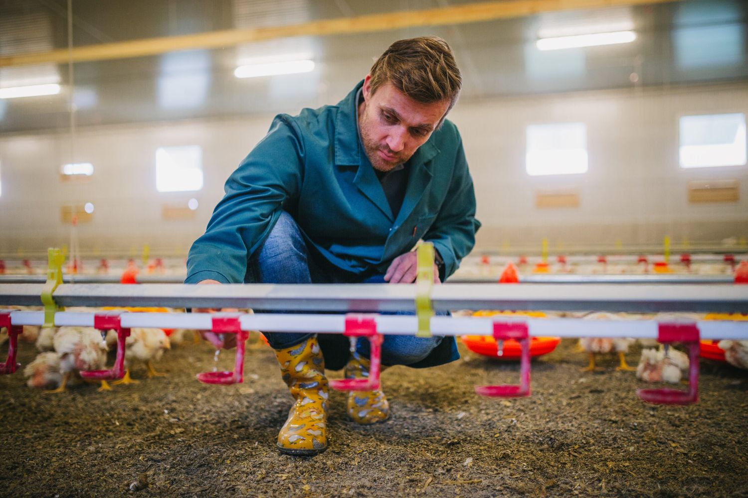„Mit Tierwohl kann man erfolgreich wirtschaften“, ist Lukas überzeugt.