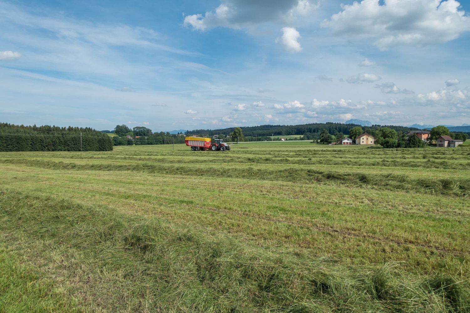 Grassilageernte Ladewagen 5 ID77197
