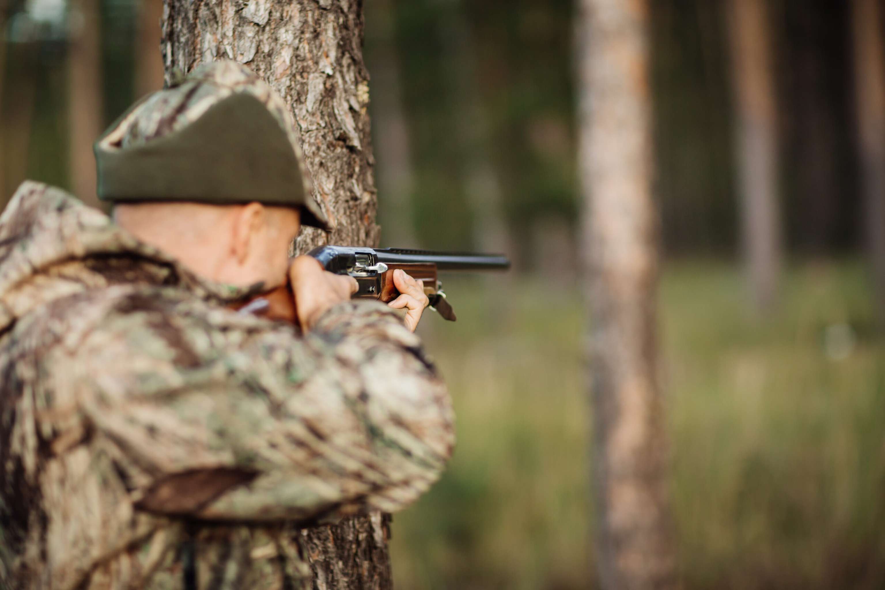 Hunter With His Rifle In Forest, Hunter Holding A Rifle And Wait