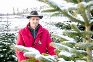 Josef Reithner, Obmann ARGE NÖ Christbaumbauern