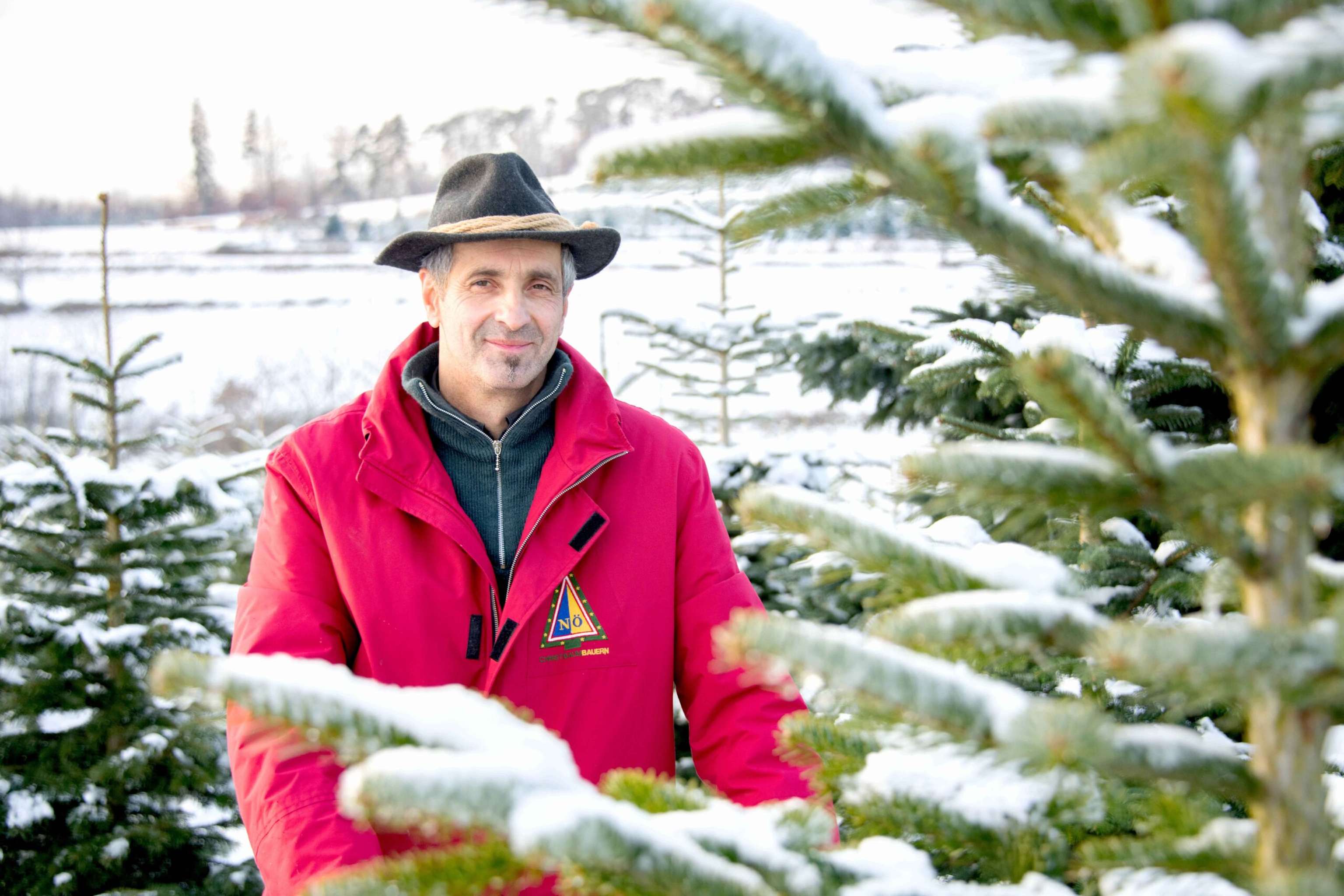 Josef Reithner, Obmann ARGE NÖ Christbaumbauern