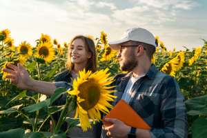 Junge Landwirte im Feld