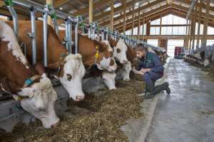 Praxisnahe Ausbildung an der LFS