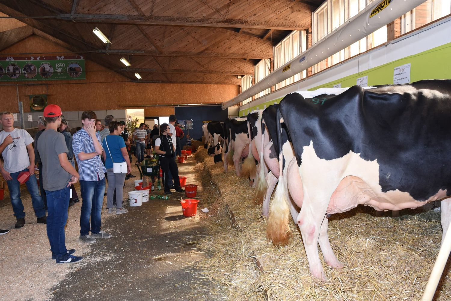 Tierhaltung und alles was dazugehört steht in Wels von 5. bis 8. September auf dem Messekalender.