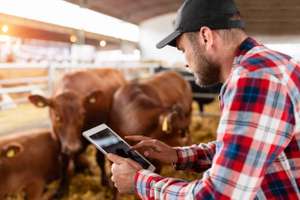 Landwirt im Stall