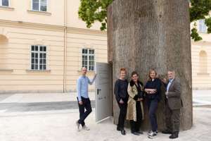 Baumhaus Mit Leuten