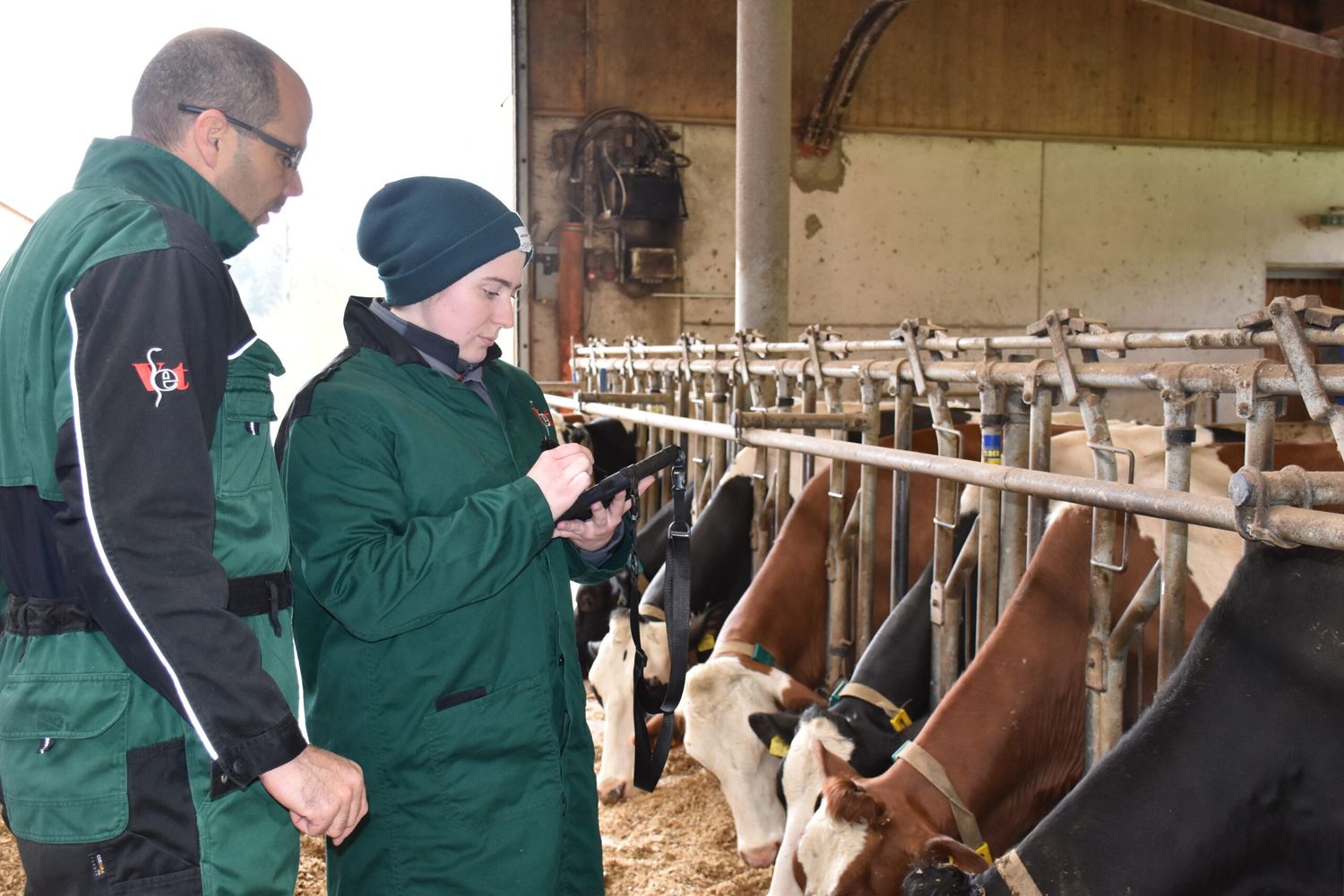 Bevor Matthias Vill Landesveterinärdirektor wurde, war er als Amtstierarzt im Bezirk Kufstein tätig.