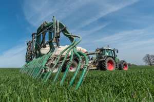 Guelle Zu Weizenschossen 5 ID92720