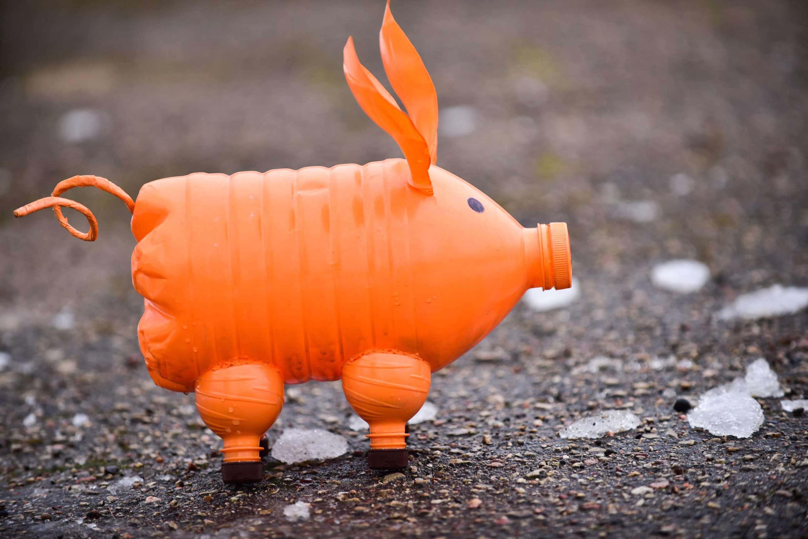 Plastic Bottle Waste Brings New Life To A Clean Environment