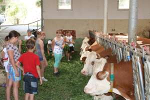 Open Bauernhof