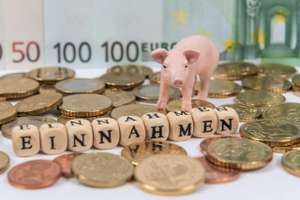Finanzen Schweine 4 ID76670