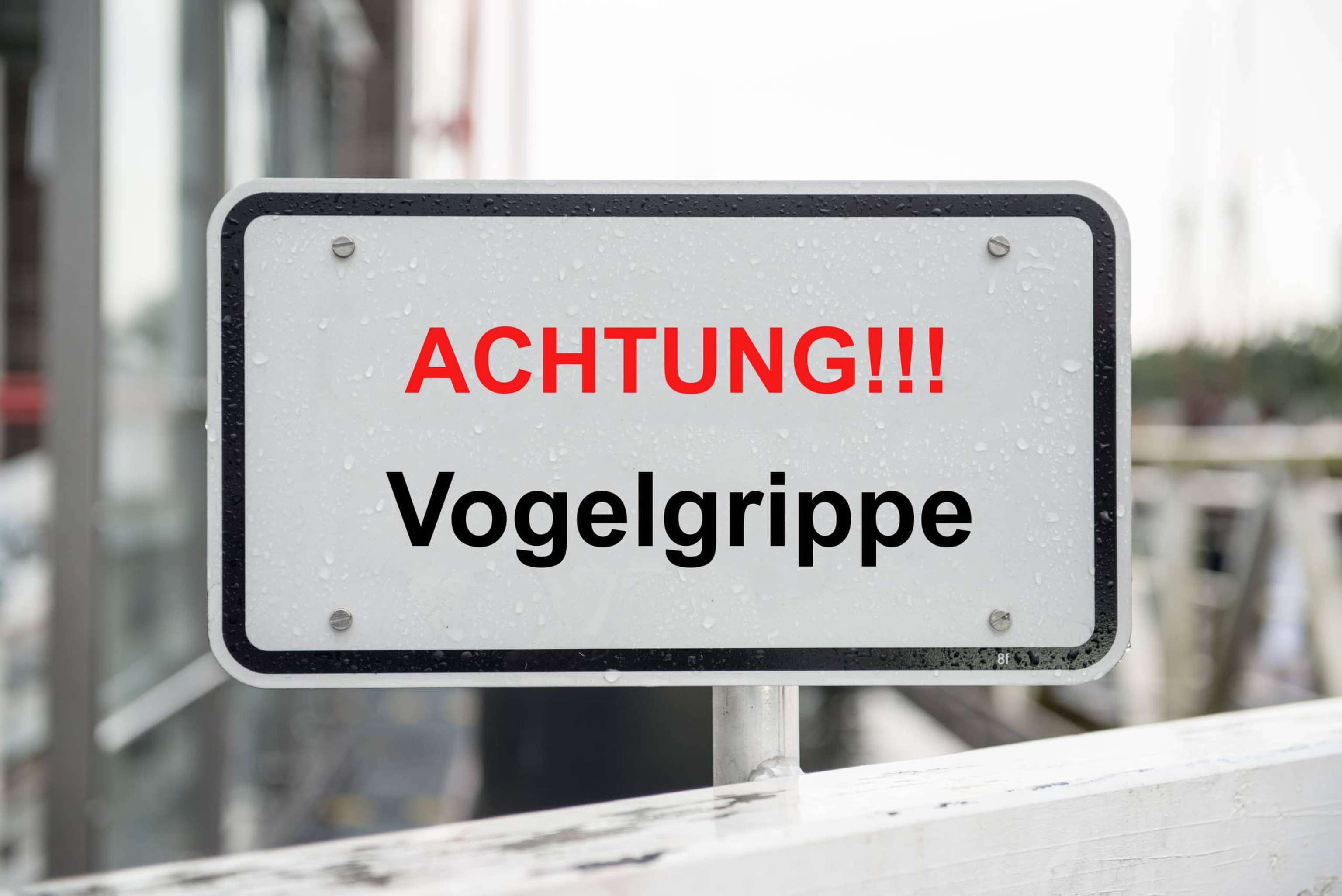 Achtung Schild Vogelgrippe