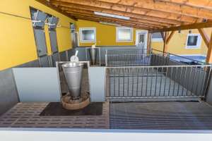 Tierwohlstall In Bau 5 ID84821