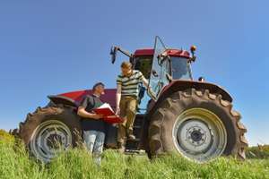 Getreideanbau Landwirte Beraten Sich Auf Einem Getreidefeld