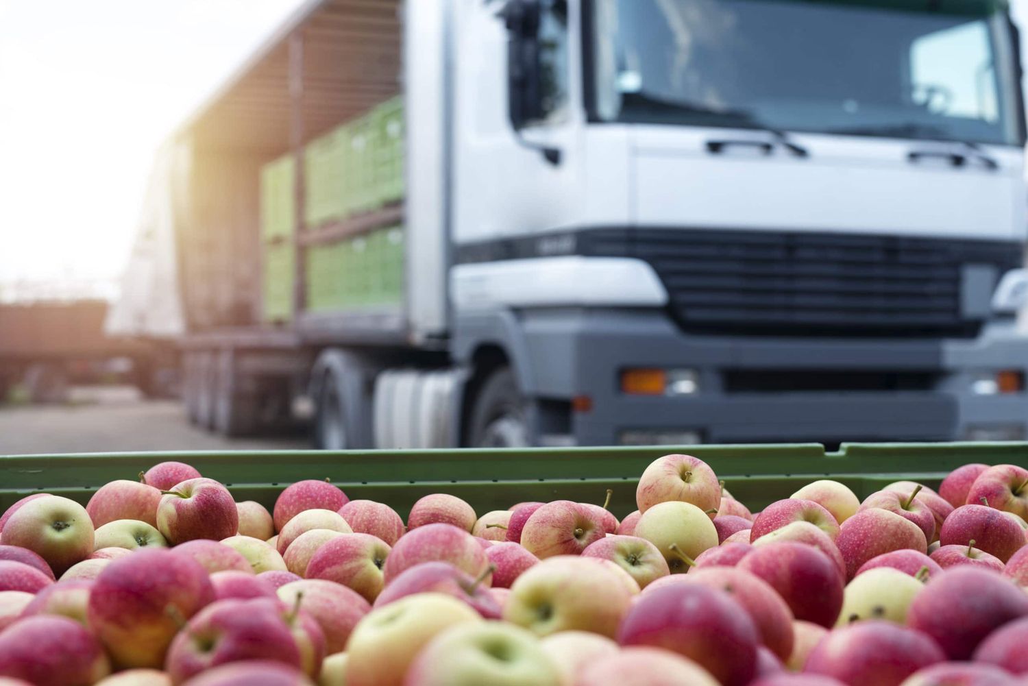 Fruit And Food Distribution. Truck Loaded With Containers Full Of Apples Ready To Be Shipped To The Market.