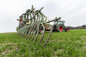 Guelle Zu Weizenbestockung 34 ID90273