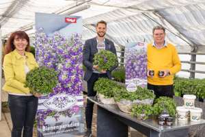 Pressefoto Blume Des Jahres 2021