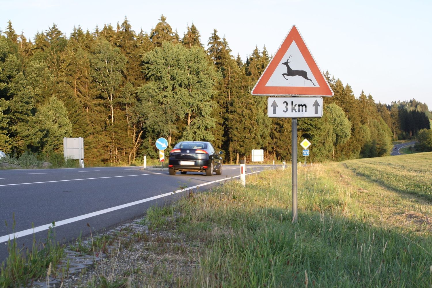 Achtung Wildwechsel