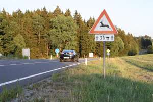 Achtung Wildwechsel