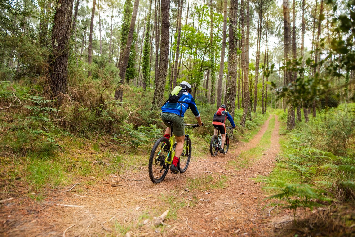 Mountainbiken im Wald