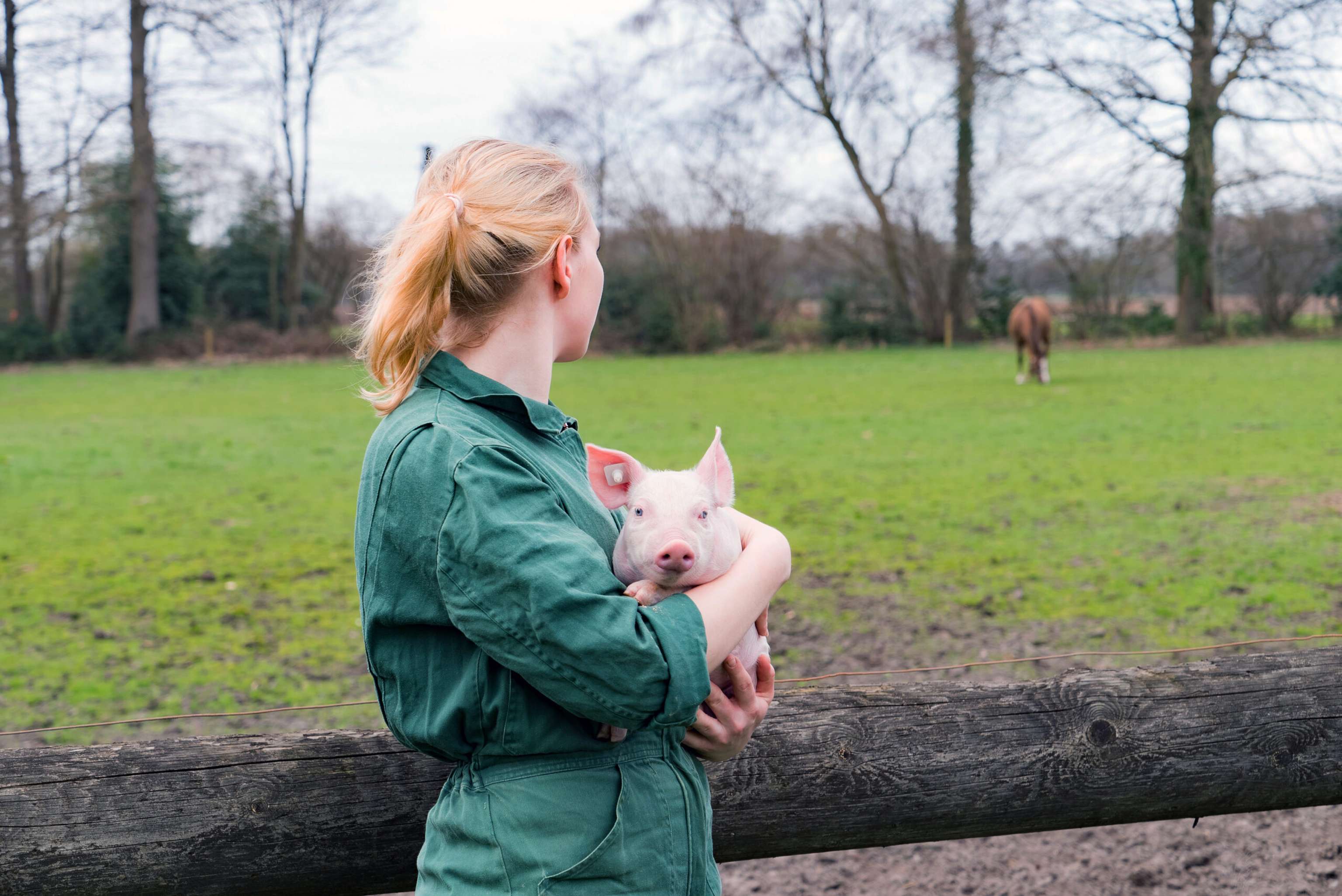 Nachfolge in der Landwirtschaft