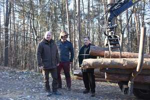 Wald LK Bgld