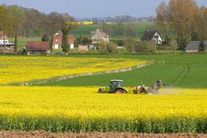 Traitement Insecticide Contre Le Charancon Du Colza, Village En Arrière Plan