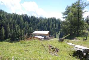 DSC 7647