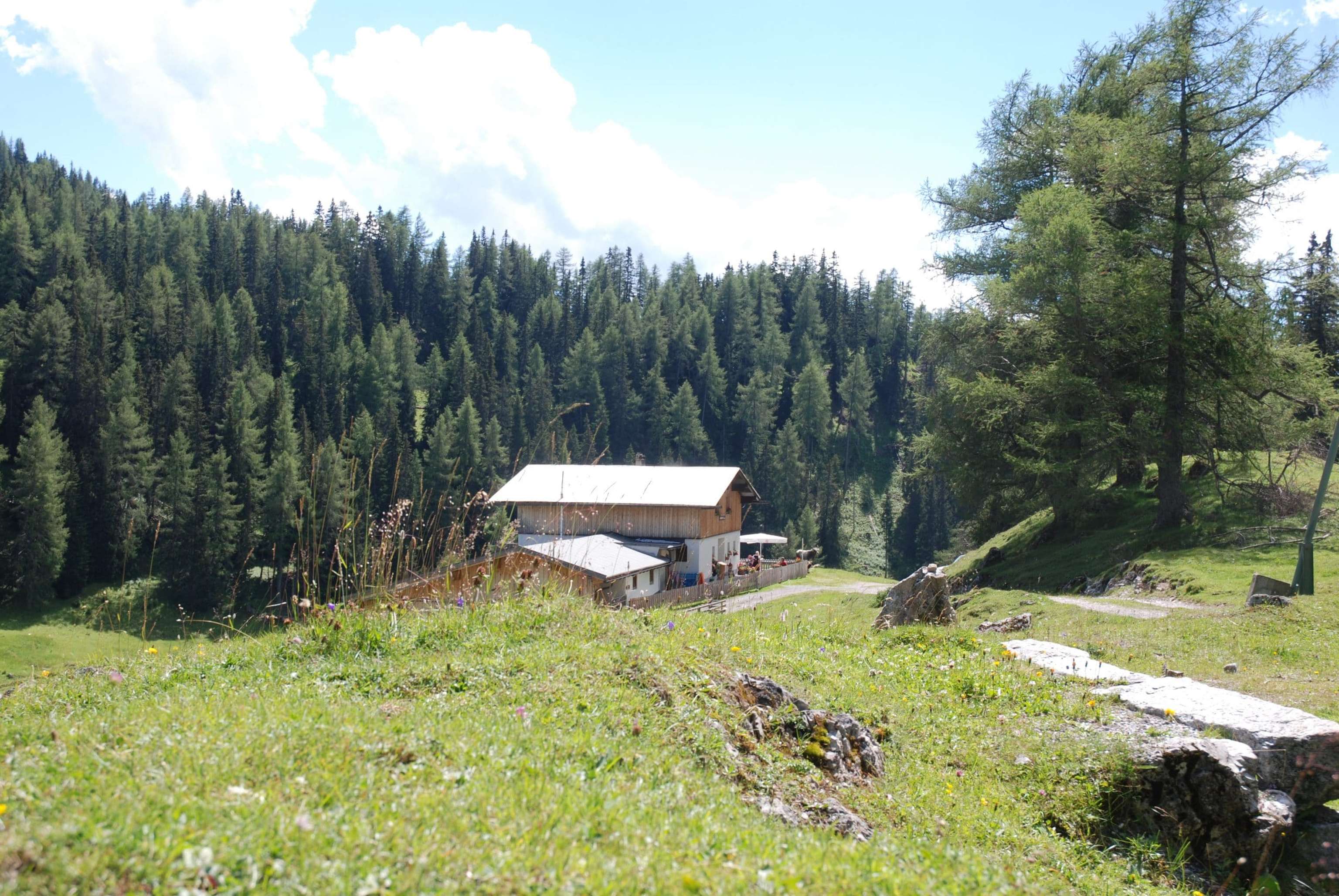 DSC 7647