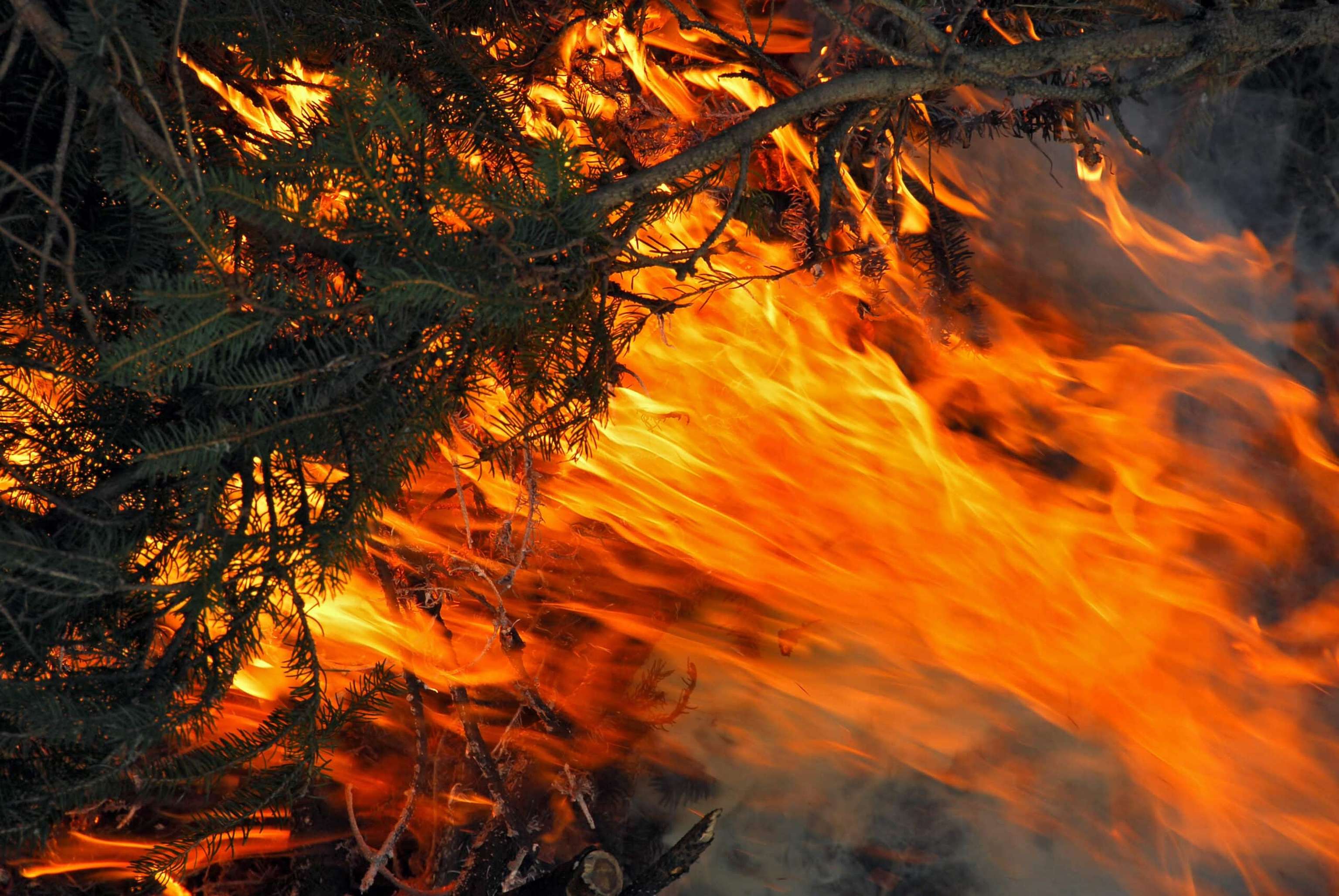 Feuer
