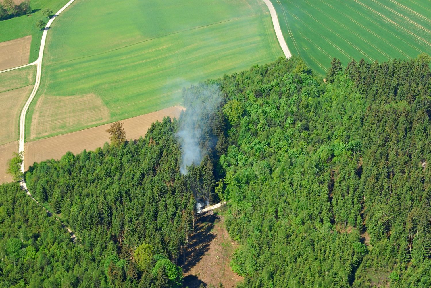 Es besteht erhöhte Waldbrandgefahr