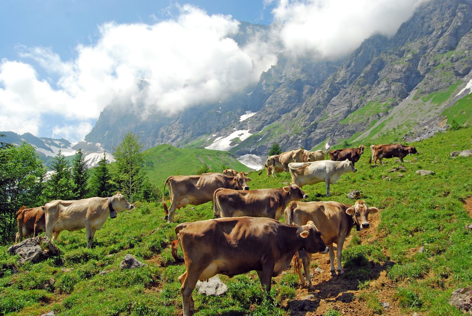322 Alp Gitschitaler Boden