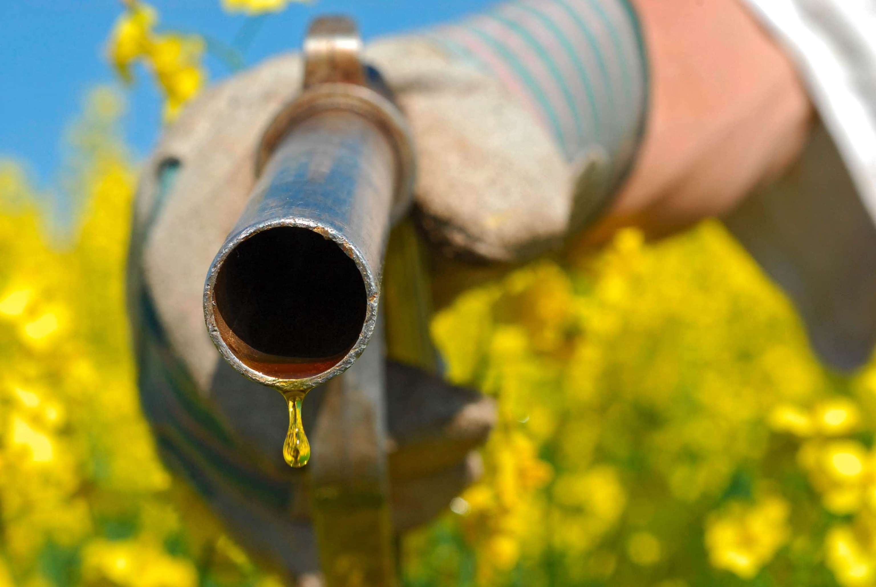 Rapsoel Tanken 6 ID25641