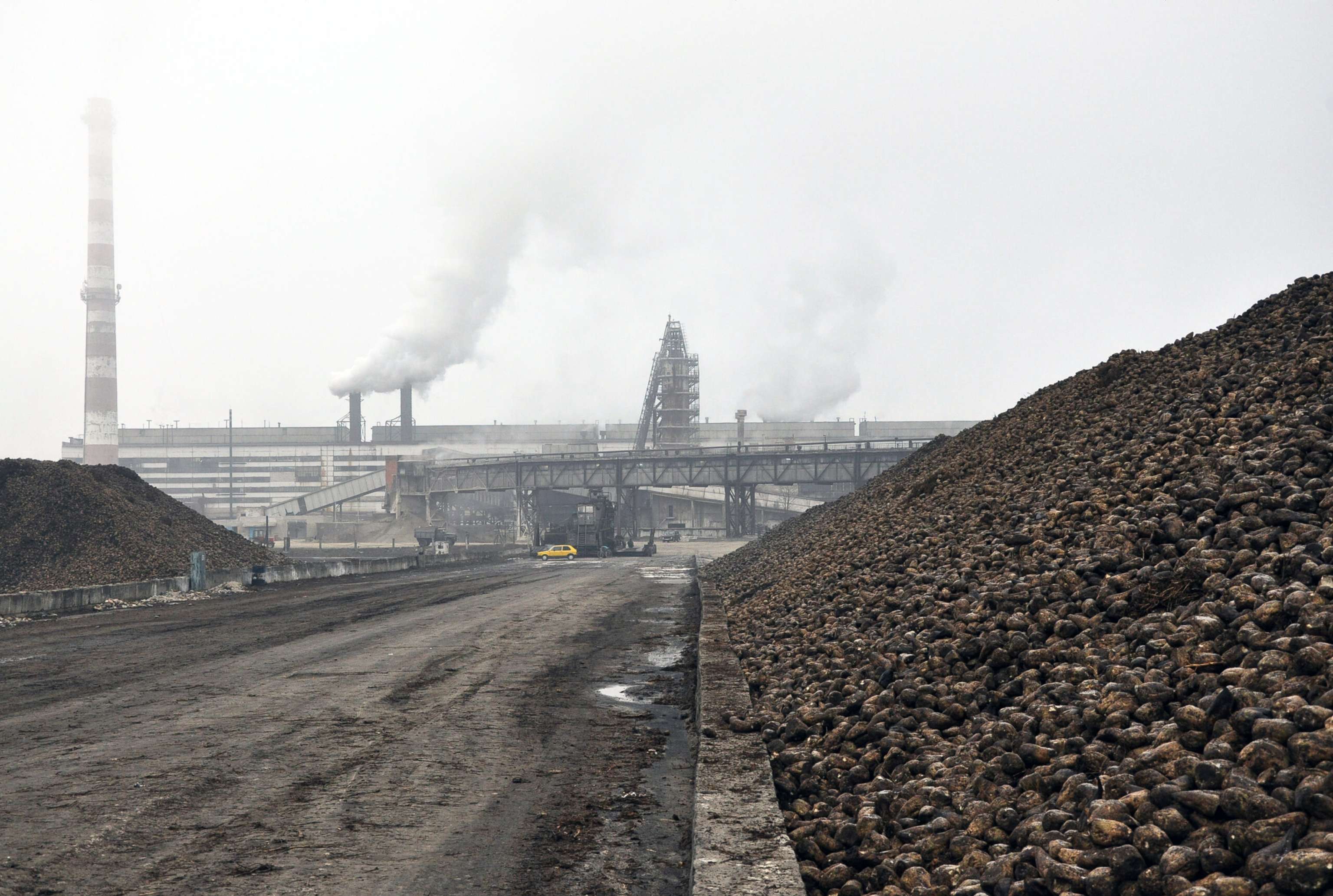 Zuckerfabrik Ukraine