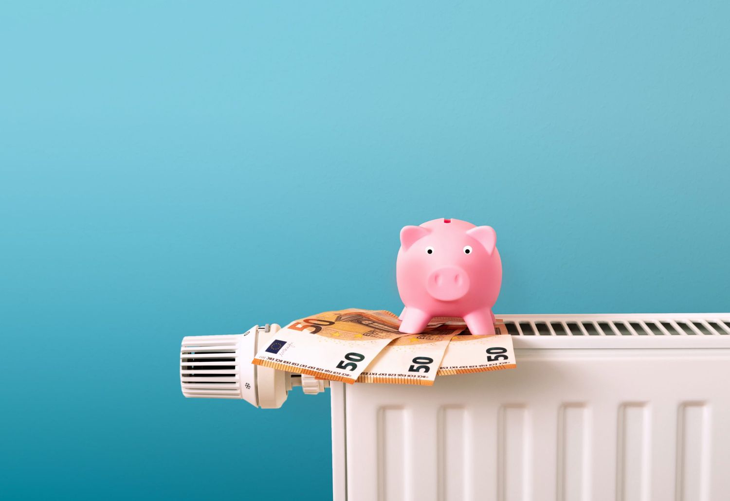 Save Money, Energy And Heating Costs, Piggy Bank On Radiator And