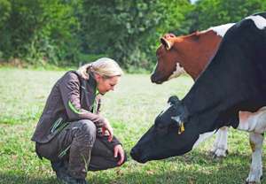 Agrarmotive Junge, Selbstbewusste Landwirtin Vor Einigen Kühen Auf Der Sommerweide.