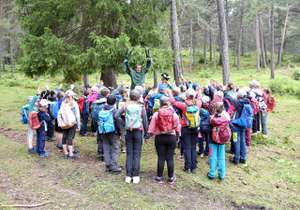Bergwaldfest HochImst2