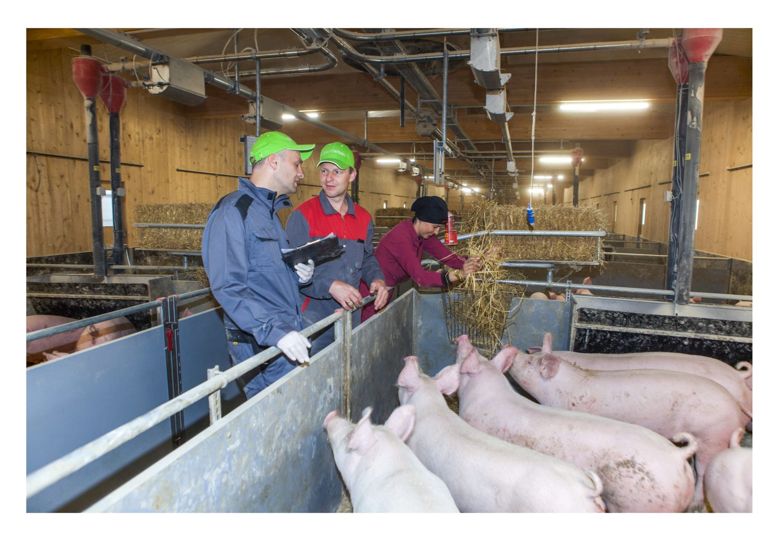 Betriebskontrolle: „Durch die regelmäßige Überwachung der Tiergesundheit durch unseren Betreuungstierarzt können wir gewährleisten, dass es unseren Tieren gut geht und das ist das Wichtigste“, so Herbert und Anita Holzinger, Schweinemäster aus Prambachkirchen.