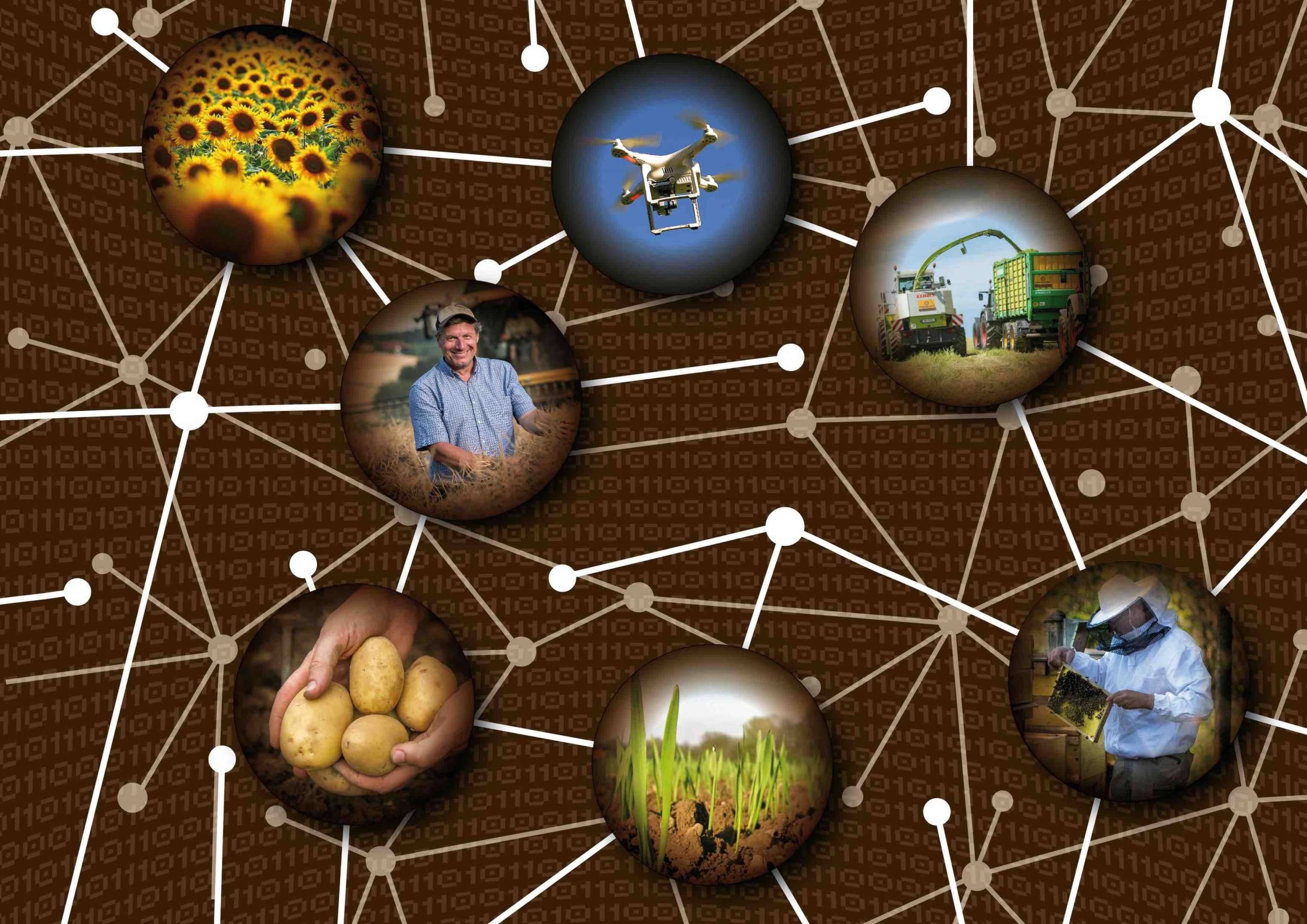 AF DL Microchip 20181016