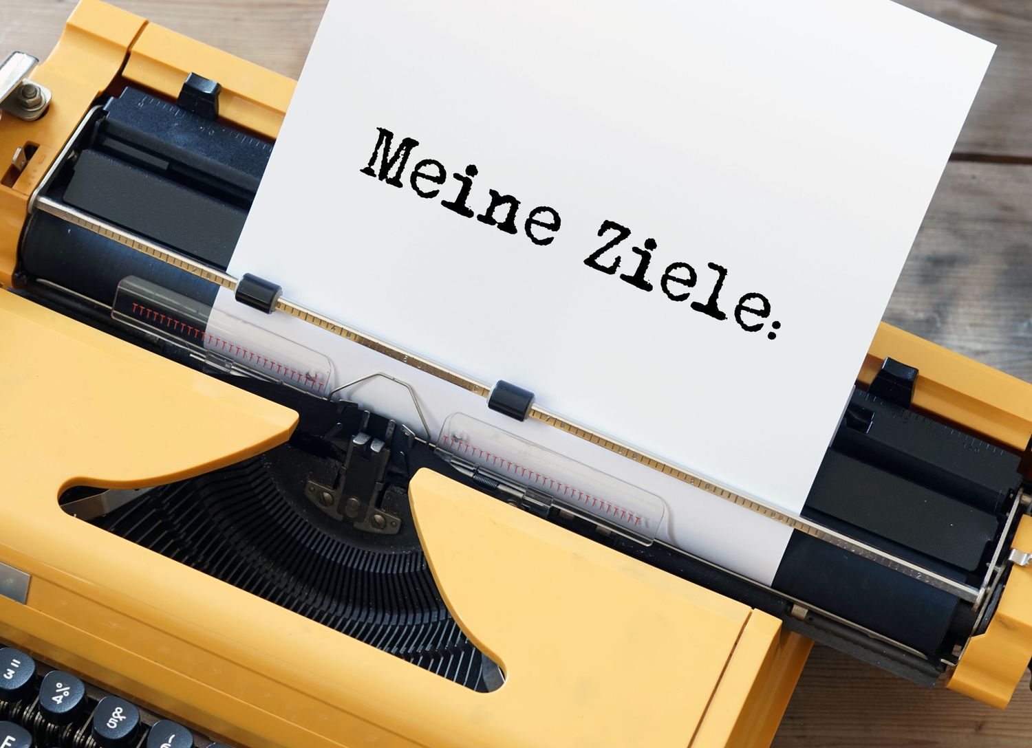 Meine Ziele: