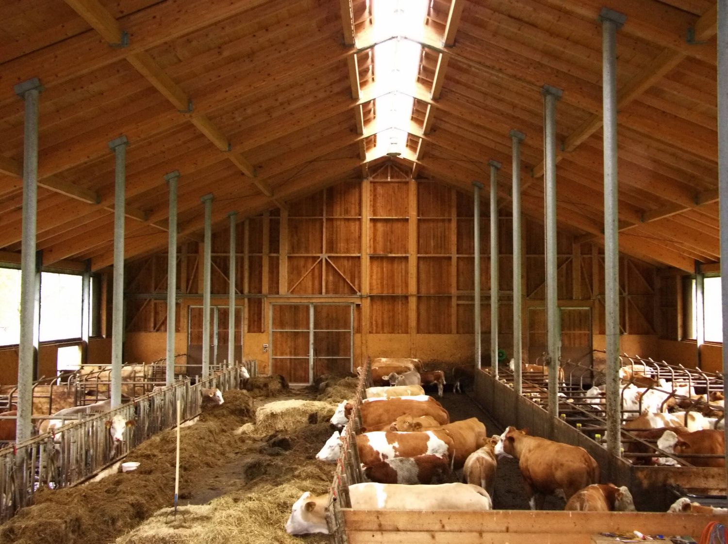 Bei größeren einzelbetrieblichen Investitionen erleichtern Kredite die Umsetzung.